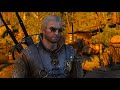 The Witcher 3 Cüce İspirtosu