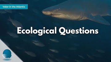 Valor in the Atlantic: Ecological Questions