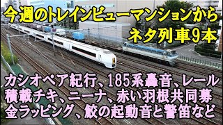 カシオペア紀行・鮫の起動音と警笛・AT出場配給・185系サウンド他【今週のトレインビューマンション】