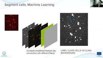 Image Classification and Segmentation using Deep Learning