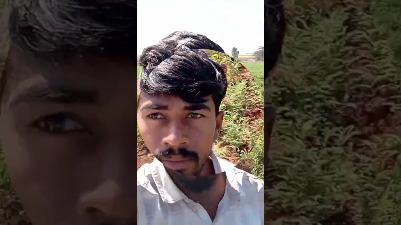 #youtubebrasil #youtuberlife #vlogger # #youtubechannels   #youtubeviews #subscribers #youtubeshorts — dileep.patilvlog8748 YouTube video