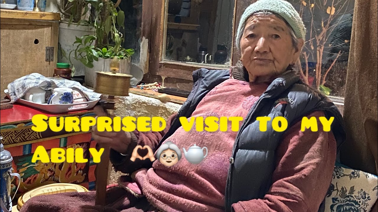 Jullay✨ travelling alone ||stuck due to heavy snowfall || random vlog || meeting my abily 👵🏻🫖🩵