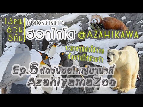 สวนสัตว์อาซาฮิยาม่า ดูอะไรวันที่ไม่มีเพนกวินพาเหรด| Hokkaido Winter Ep6 Asahikawa| JP on the Go Ep34