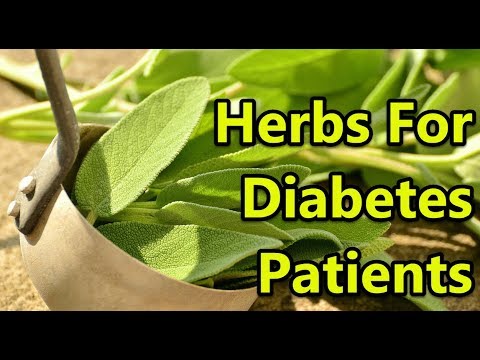 Top 10 Herbs For Diabetes Patients