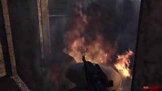 Call of Duty® waw zombies only ammo cheat unlimited