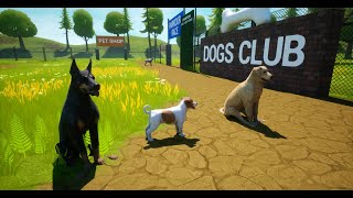 Dogs Club Game - Level 01 Test with Jr. Terrier