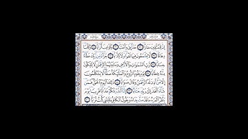 سورة النبأ بصوت القارئ أبو بكر الشاطري