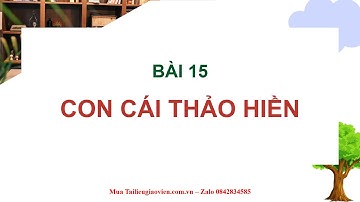 Giáo án powerpoint Bài 15: Nấu bữa cơm đầu tiên | GA điện tử Tiếng Việt lớp 2 Cánh diều