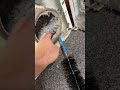 How to fix that squeaking sound & clean out the lint from clothes dryer prevent fire dangerous