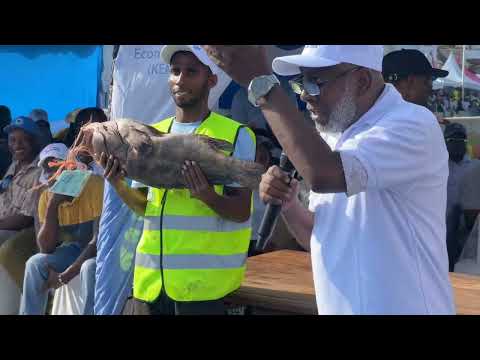 27 November 2025 27 November 2025