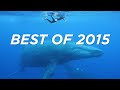 Best of 2015 - Happy New Year from The Bucket List Family !!!