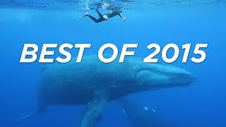 Best of 2015 - Happy New Year from The Bucket List Family !!!