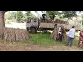 Accessing clean and improved cassava planting materials for the 2022 planting season