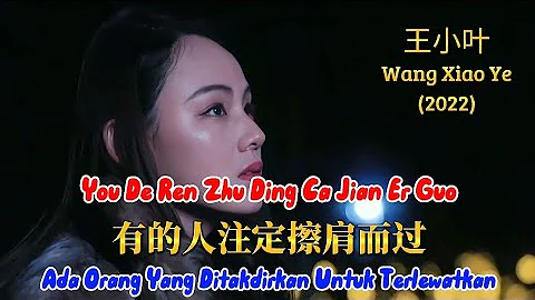 有的人注定擦肩而过 - You De Ren Zhu Ding Ca Jian Er Guo - 王小叶 - Wang Xiao Ye (2022) - DayDayNews