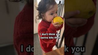 Baby Julie bites into a LEMON 😂 #babygirl #bigbites #tastetest