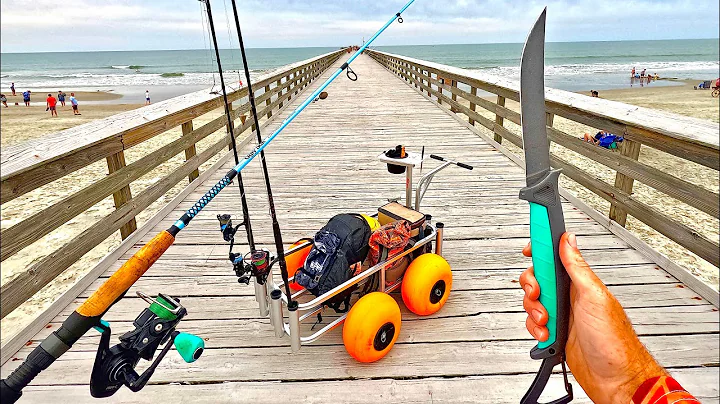 Eating Only What I Catch Off A PRIVATE PIER! (24hrs)