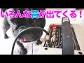 初めて見るギターのアンプさらっと使おうとする犬www