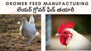 Grower Feed Manufacturing || Grower Feeding || Layer Poultry Farming || In Telugu