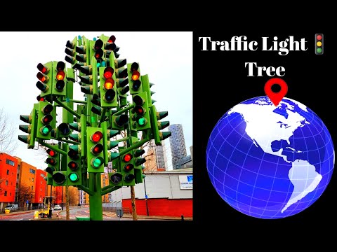 Traffic Light Tree Found On Google Map and Google Earth #map #googlemap #googleearth