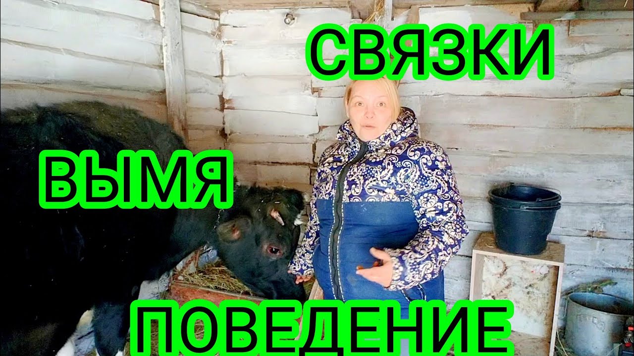ПОДГОТОВКА КОРОВЫ К ОТЕЛУ//КАК ПОНЯТЬ ЧТО ОТЕЛ СОВСЕМ БЛИЗКО