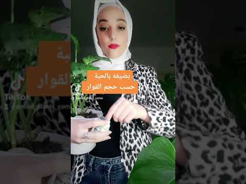 فيديو: هل السماد بطيء الإطلاق عضوي؟