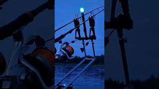 Der Film Karpfenangeln Vom Iboat500 Raptor