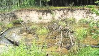 11628 Cedar Creek Rd video tour