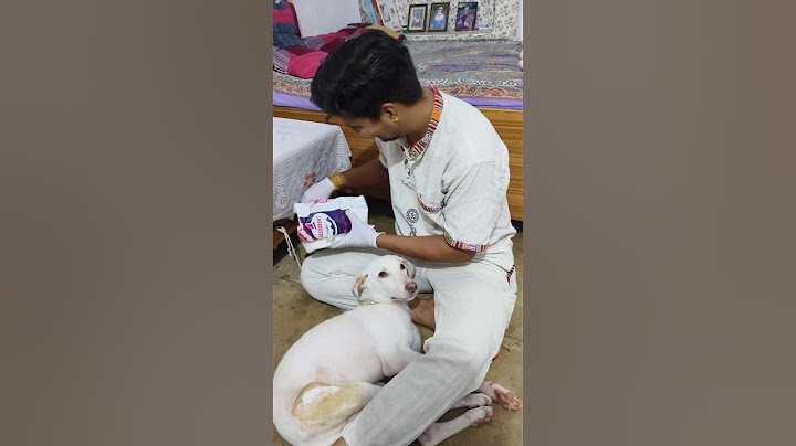 Dosto ye dekho hamare ghar ka jholachap doctor 😂🫢 #youtubeshorts #dog #doghealth #shorts #funny #new
