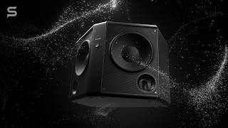 Cinematic Bass Performance Snyder Sw 1222 Pro Subwoofer