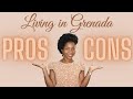 Pros & Cons of Living in Grenada! An Honest Look At Life in Grenada! | Nezzle Talk Ep. 22