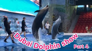 Dubai Dolphin show part 4