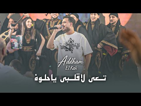 ادهم القاق تعي لا قلبي ياحلوة حلم يجلم جلم لايف 2026