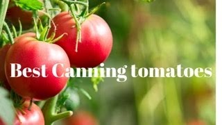 Top tomato varieties to grow for home canning