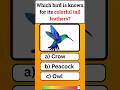 Which bird is known for its colorful tail feathers? #shortvideo #shortvideo #usa #shorts