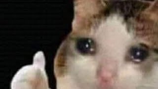 APEX 2020/10/19