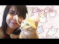 Présentation de mon chat (Chi-Chi)