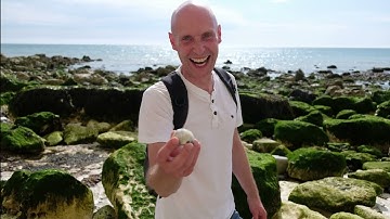 FOSSIL HUNTING UK | Beachcombing find echinoid chalk fossils in Peacehaven | Fossileyes Brighton