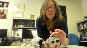 The Fossil Record and Evolution (Carol Ward, PhD)