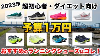 【超初心者向け 予算1万円！】ダイエットや軽く走りたい人へおすすめのランニングシューズ！アシックス / ナイキ / ゲルカヤノ29 / GT2000 11 / ペガサス39 /asics NIKE