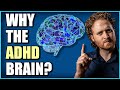 ADHD Brain: How The ADHD BRAIN WORKS! (Why You Need To Know)