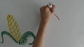 Fast Plants Semester 1