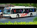 How Large is Disney World's Bus Fleet?