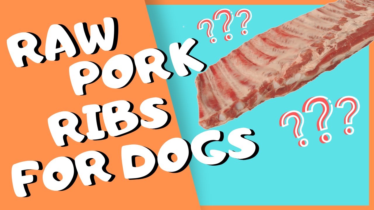Can Dogs Eat Raw Pork Ribs