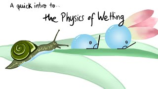 A quick intro to the Physics of Wetting