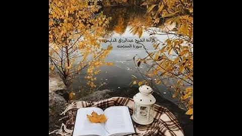 قراءة الشيخ عبدالرزاق الدليمي سورة الممتحنه