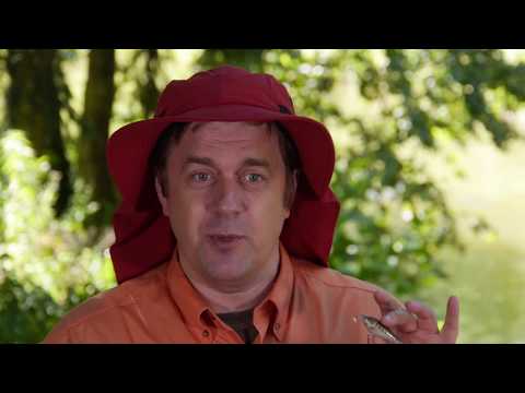 Чертова дюжина. Сезон 4. Голавль