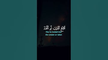 أفرأيت الذي كفر بآياتنا وقال لأوتين مالا وولدا | الآية 77 من سورة مريم 😴🎧