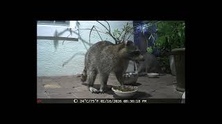 DSCF0422
