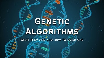 Genetic Algorithms: What They Are and How To Build One