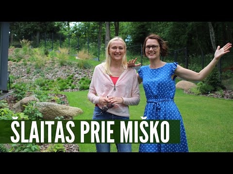 Video: Kūrybiškumo šlaitai